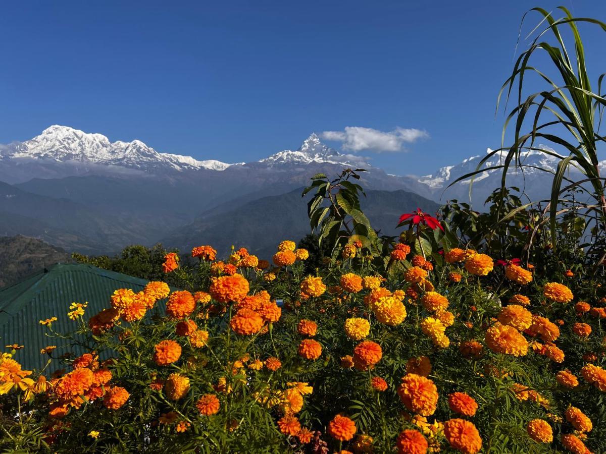 Es Deurali Resort Pokhara Exterior foto