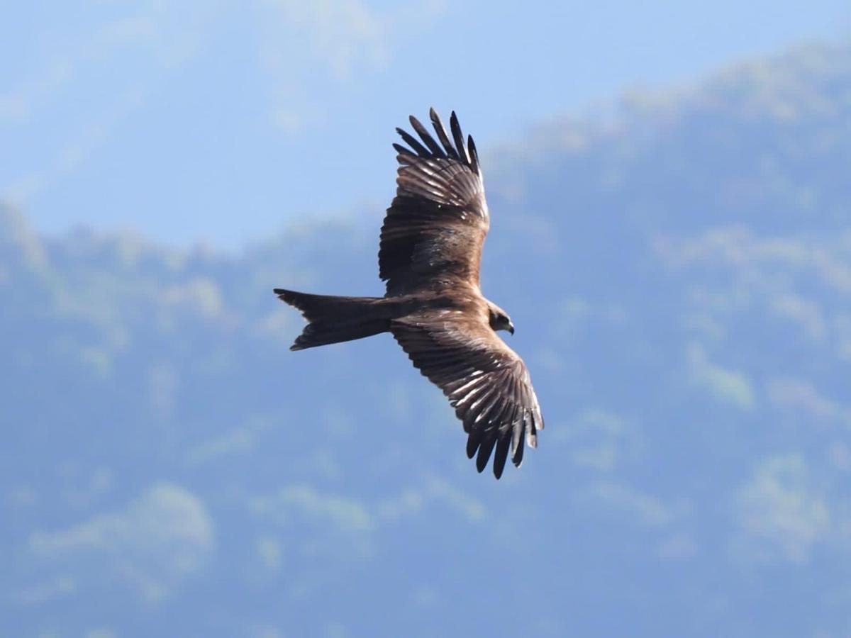 Es Deurali Resort Pokhara Exterior foto