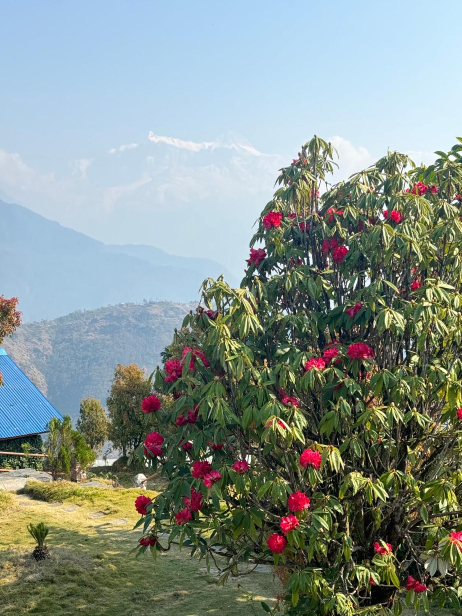 Es Deurali Resort Pokhara Exterior foto